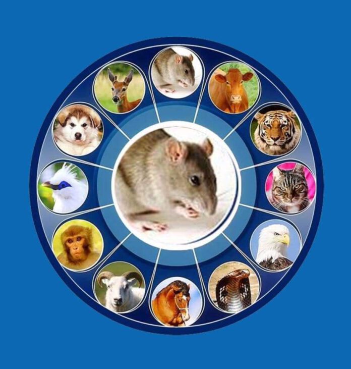 FB_IMG_1576227355528