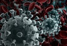 कोरोना भाइरस र विश्वव्यापी आर्थिक संकट